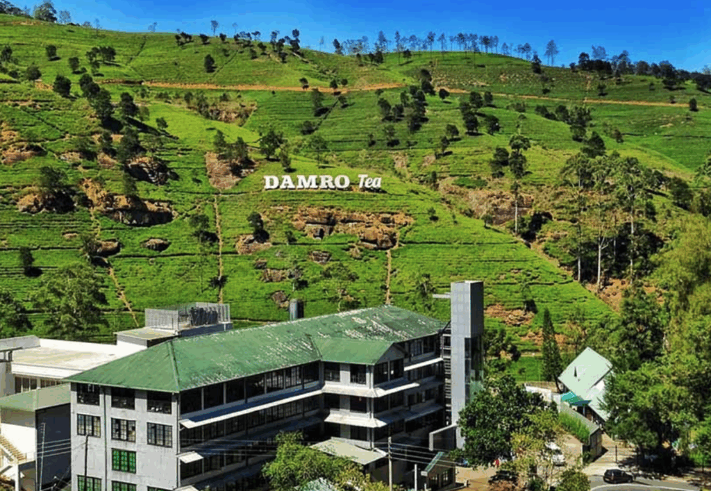 Damro Labookellie Tea Centre