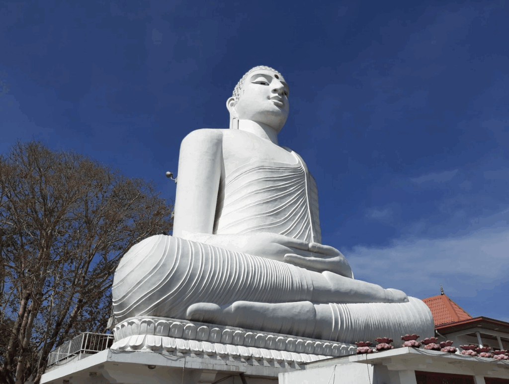 Sri Maha Bodhi Viharaya
