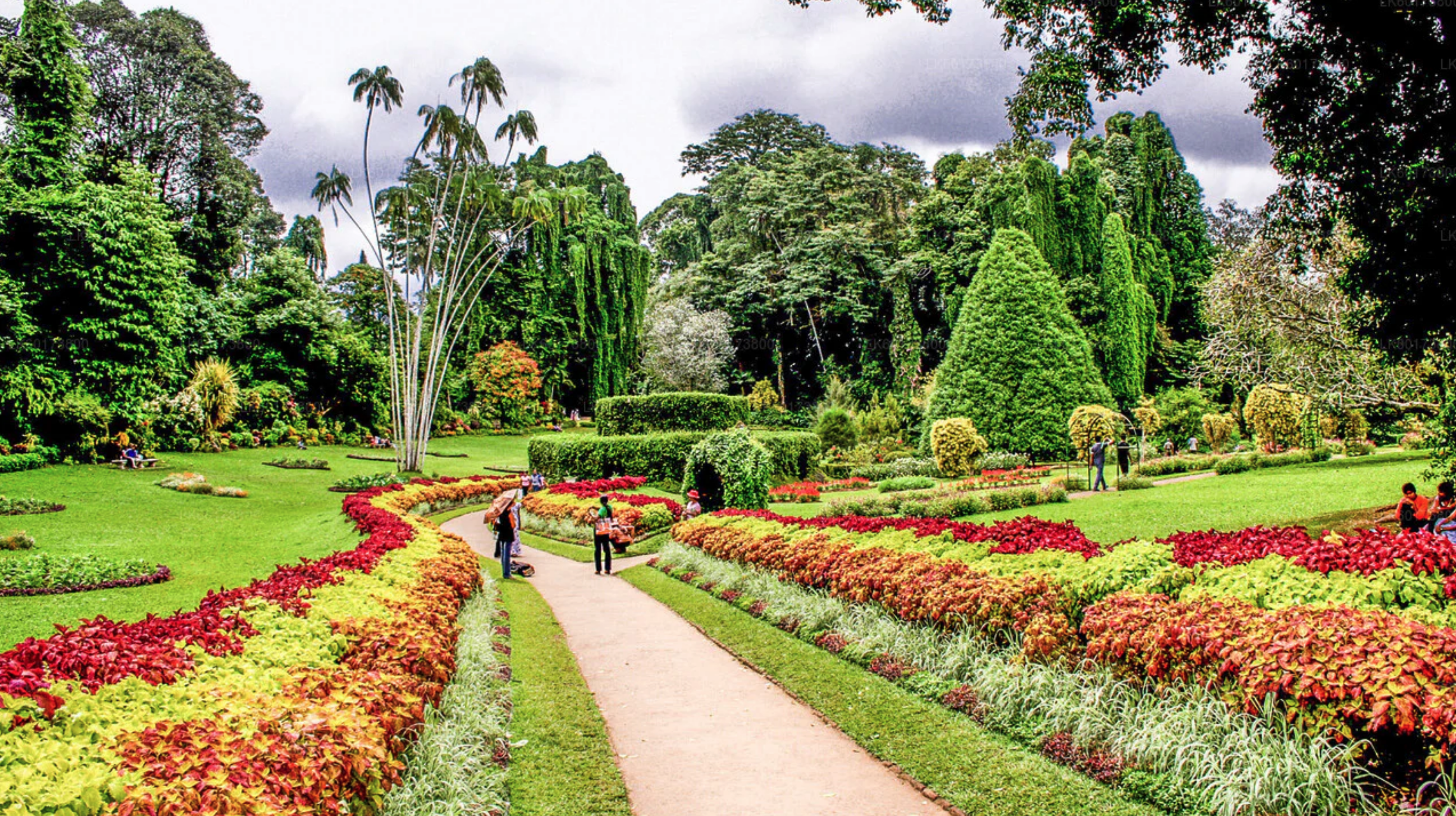ペラデニヤ王立植物園（Royal Botanic Gardens）