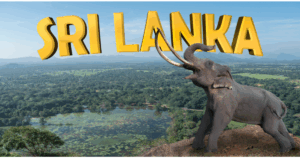 2025年最新!スリランカ旅行のベストシーズンはいつ?エリア別気候・服装ガイド