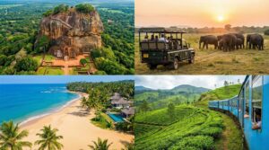 スリランカで格安ツアー利用はおすすめしない?せっかくの旅行を存分に楽しもう!