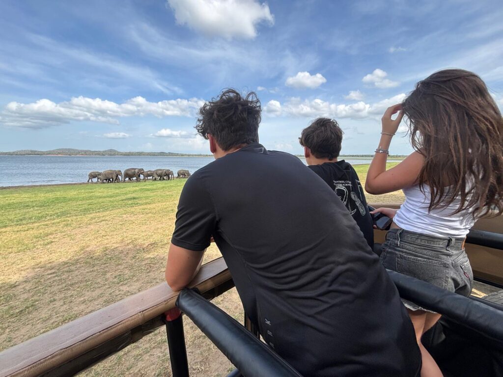 ジープサファリ