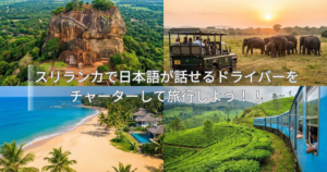 スリランカで日本語が話せるドライバーのタクシーをチャーターしよう!現地ガイド機能もつけられる?