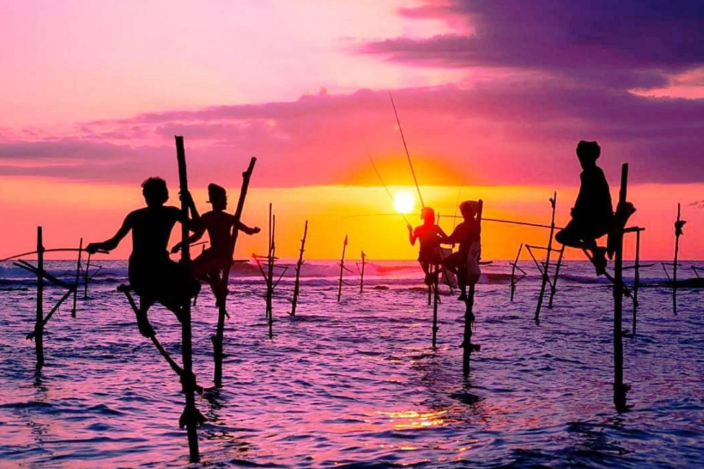 スティルトフィッシング(高椅子漁)